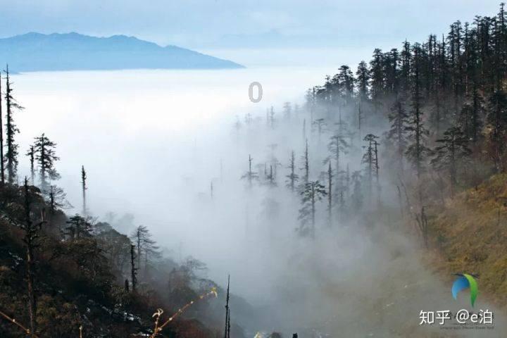 澳洲皮草
